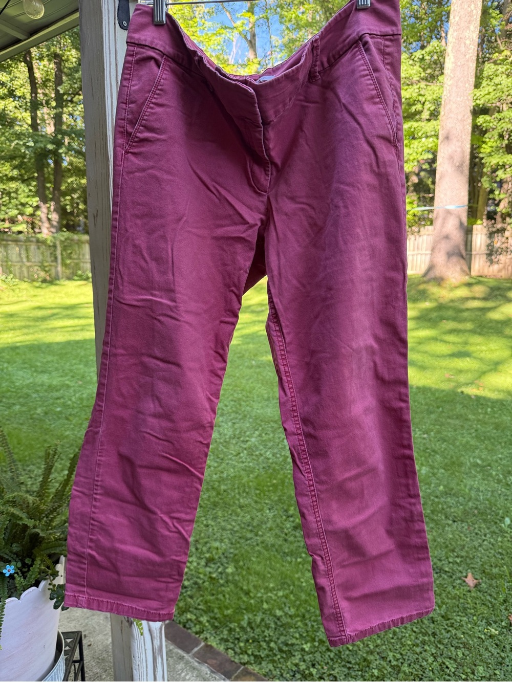 LOFT Women's Chino Pants in Deep Berry